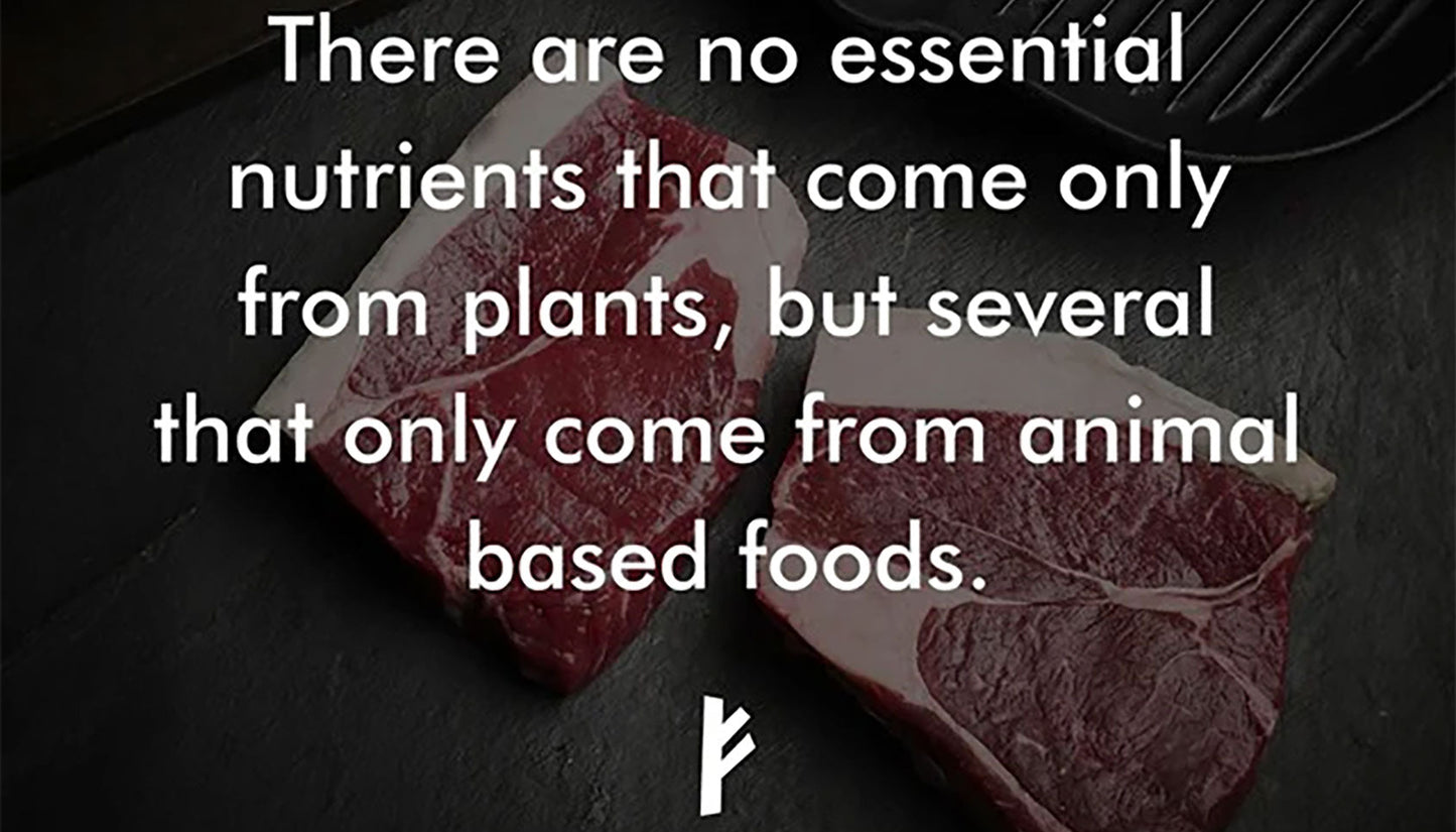 Animal based nutrition - Proteins