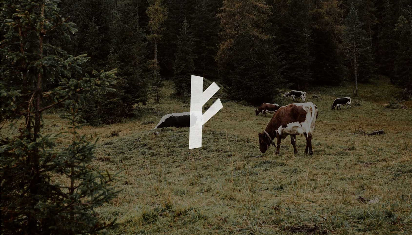 How can regenerative agriculture change the world?