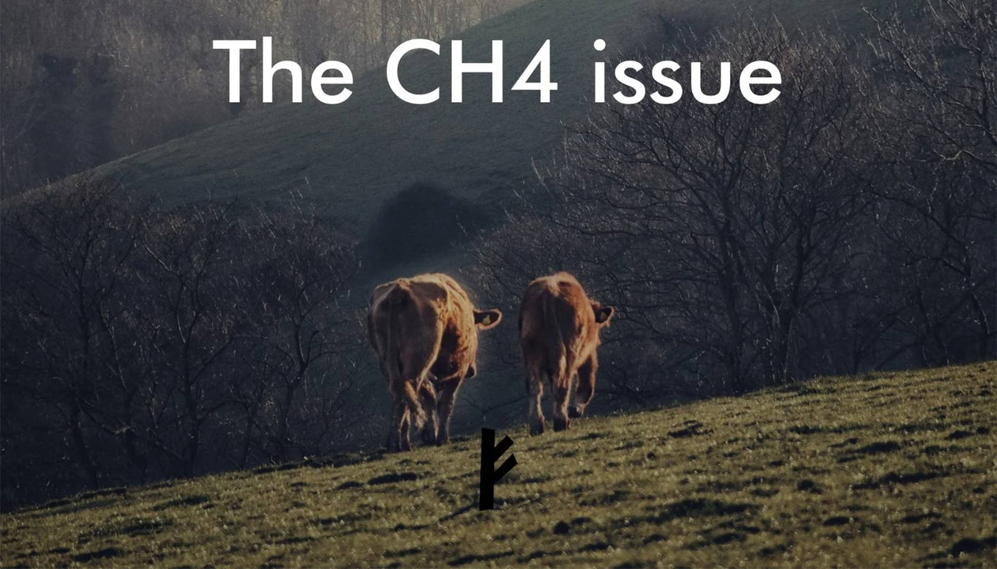 The CH4 issue