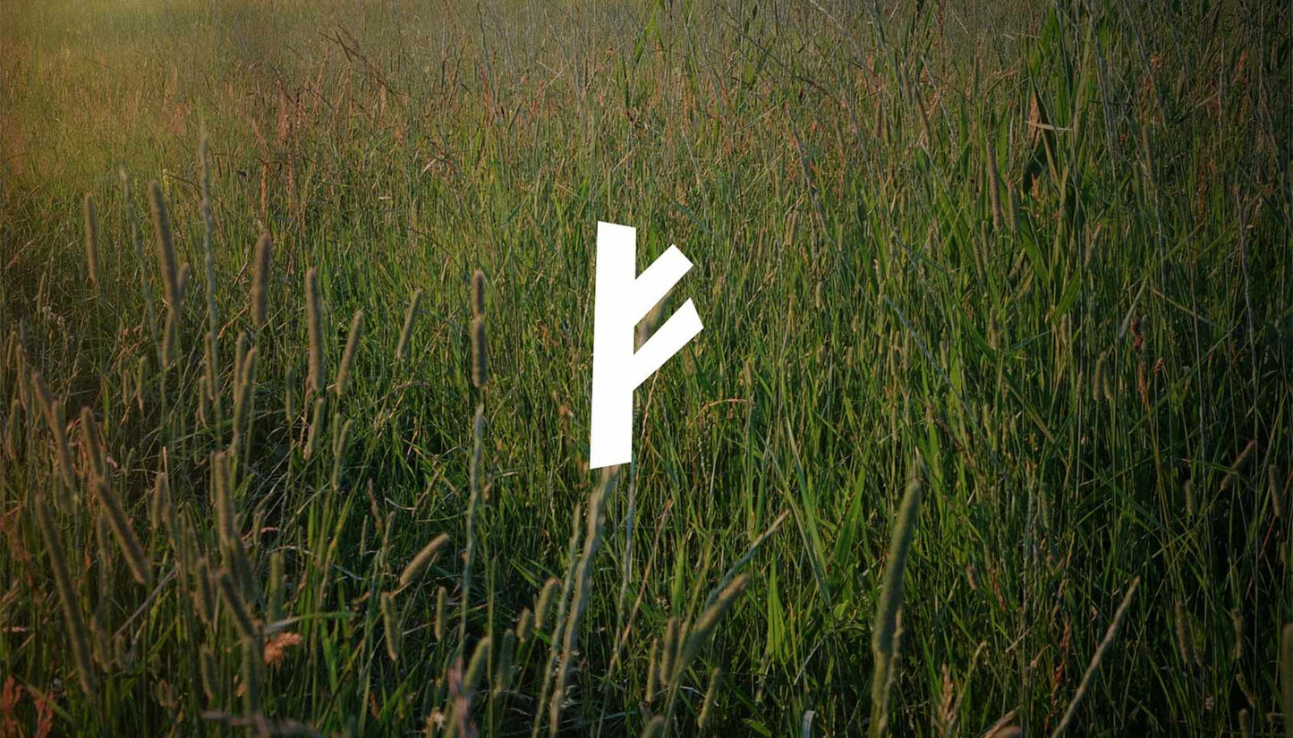 Grass meadow
