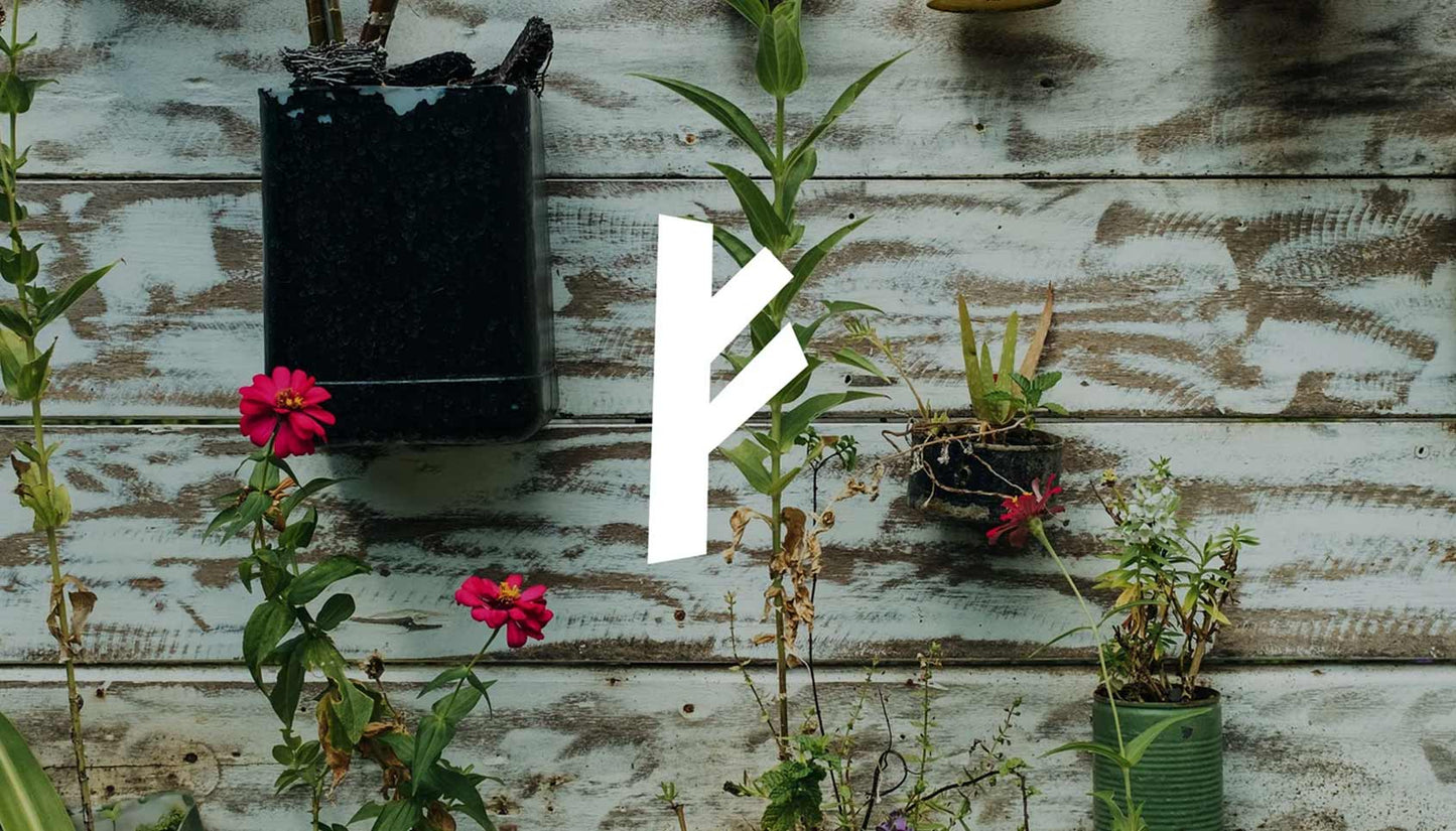 The 5 R's of Zero Waste - No 3. To Reuse
