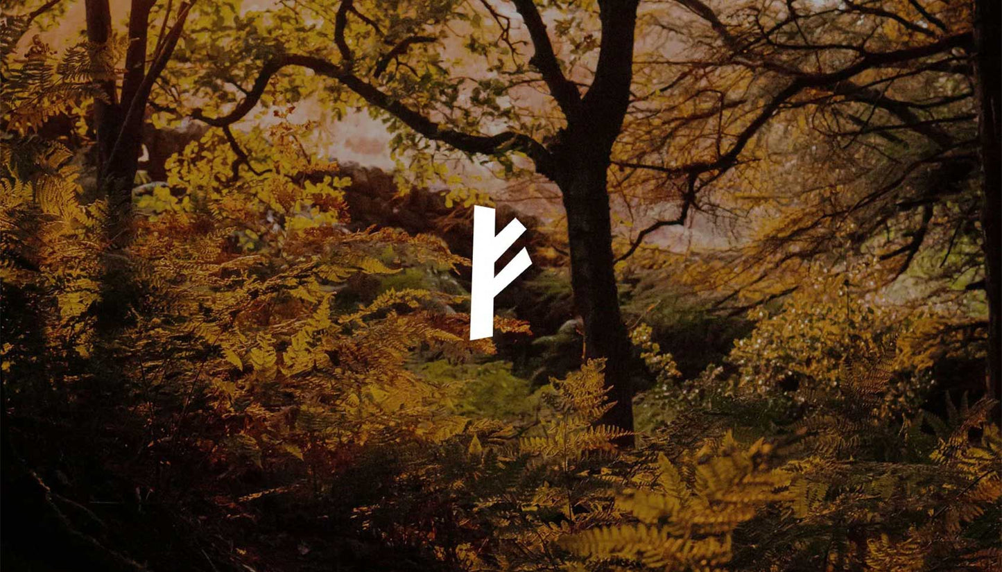 Woodland in Autumn