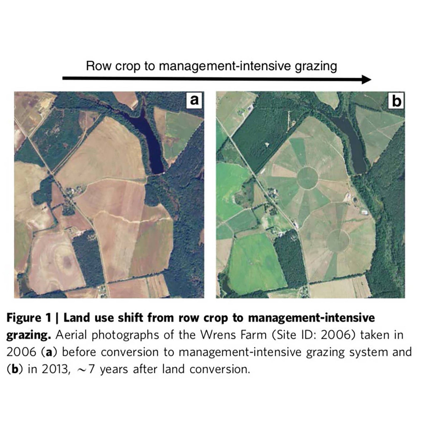 3 metric tons of carbon per acre per year drawdown