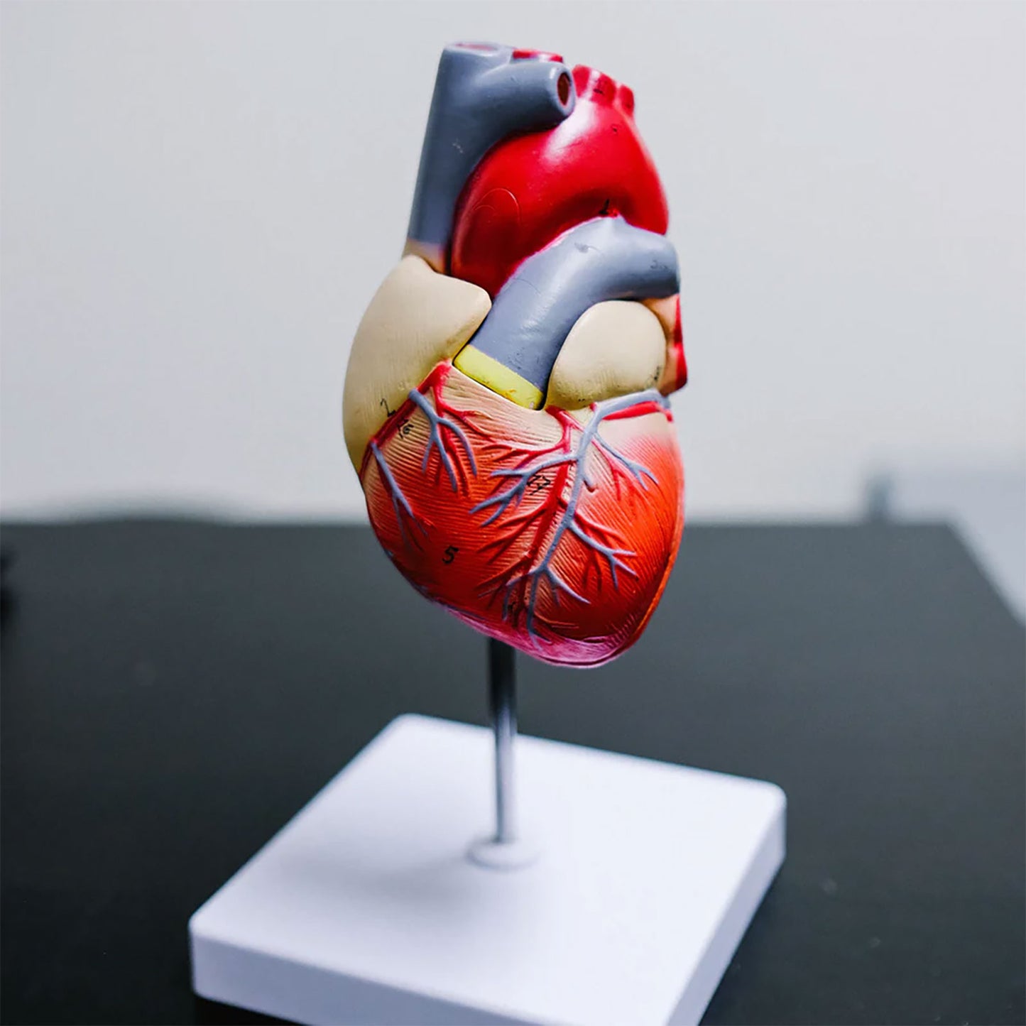 cardiovascular disease