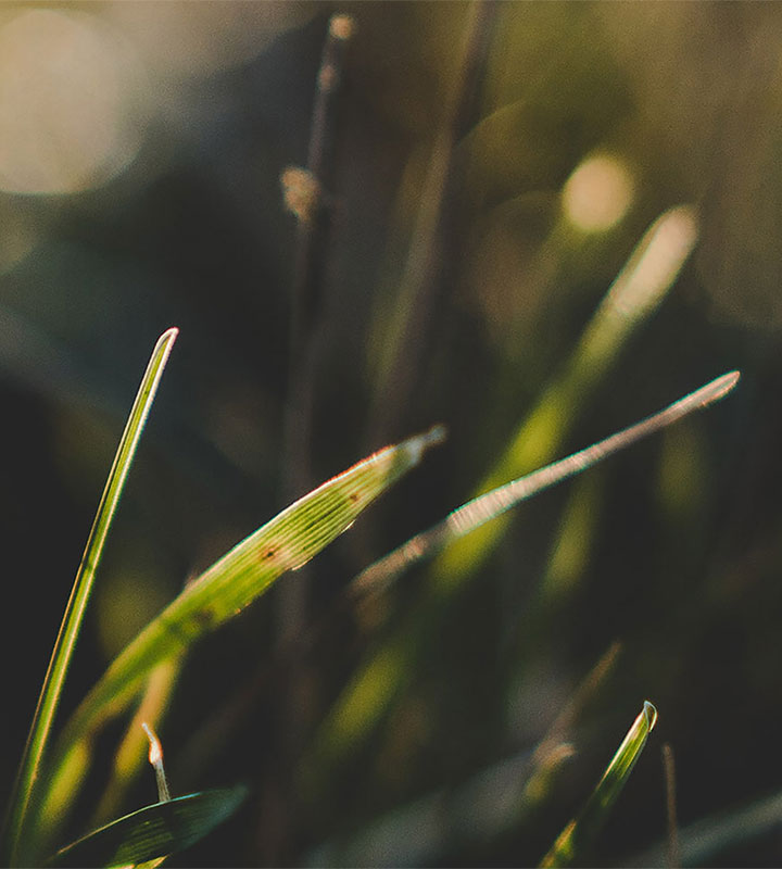 Regenerative agriculture