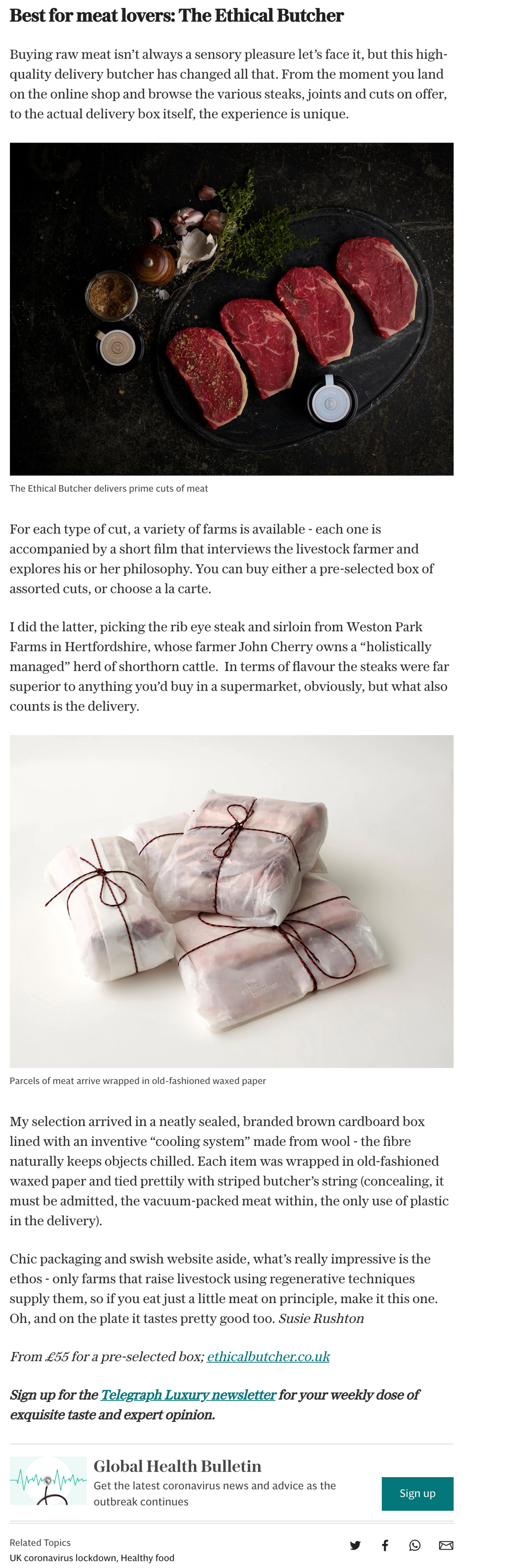 Telegraph online