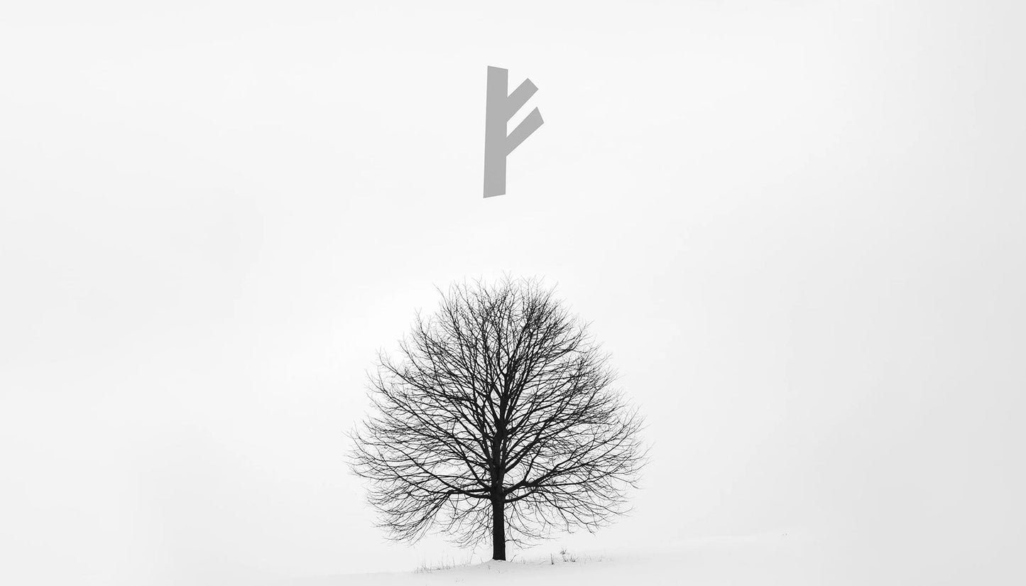 Tree in winter