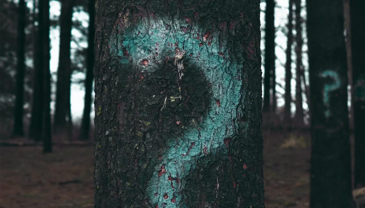 Is greenwashing the greatest threat to regenerative agriculture?