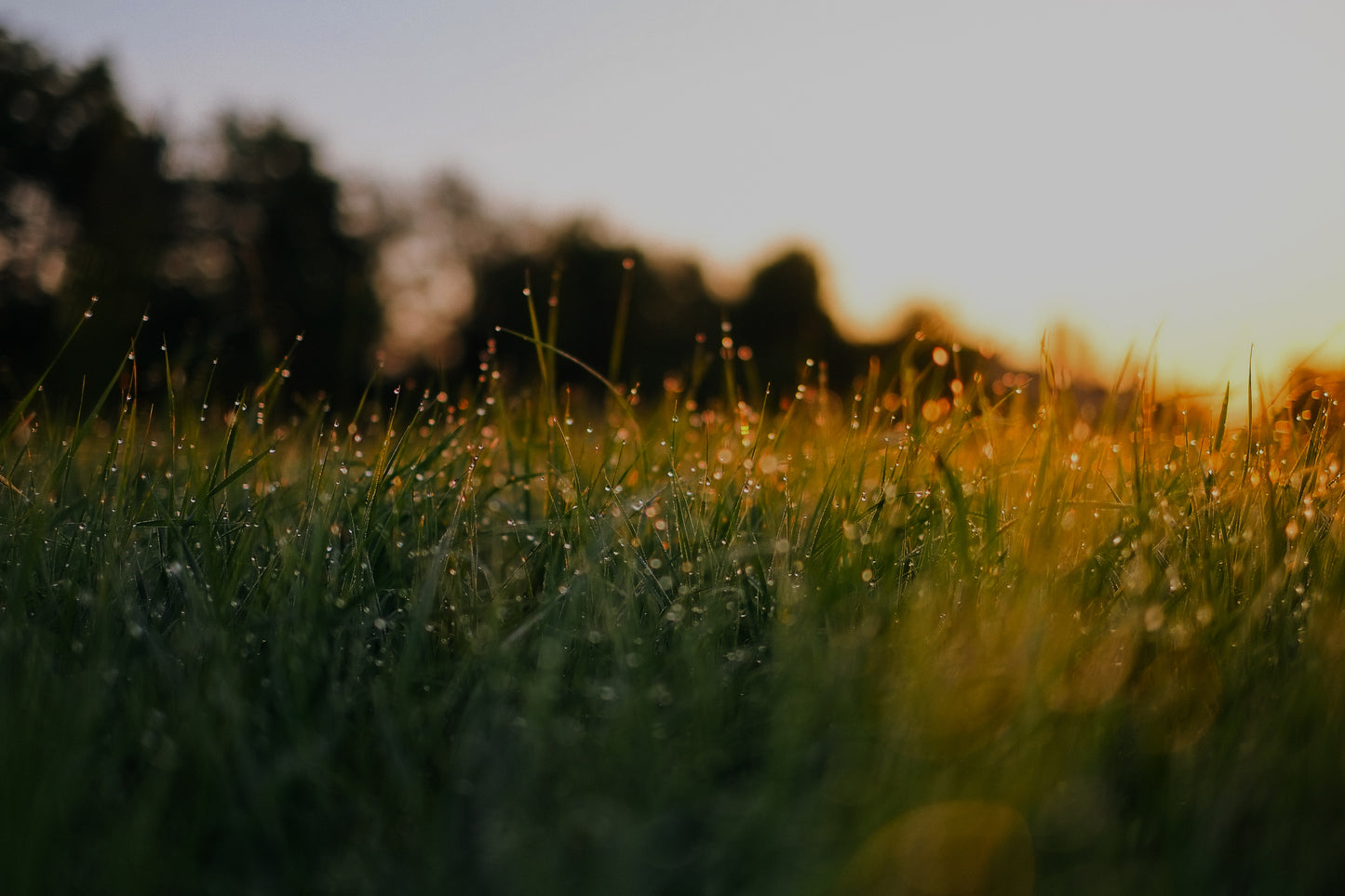 Just sunlight and rainwater