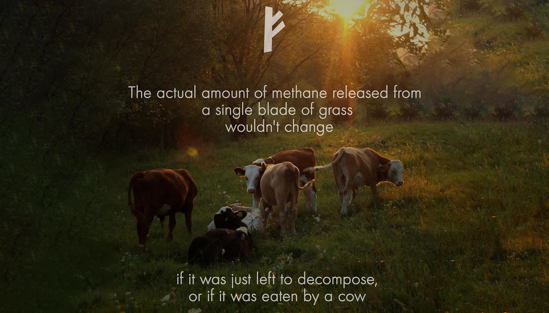 Methane - Cows versus no cows – The Ethical Butcher