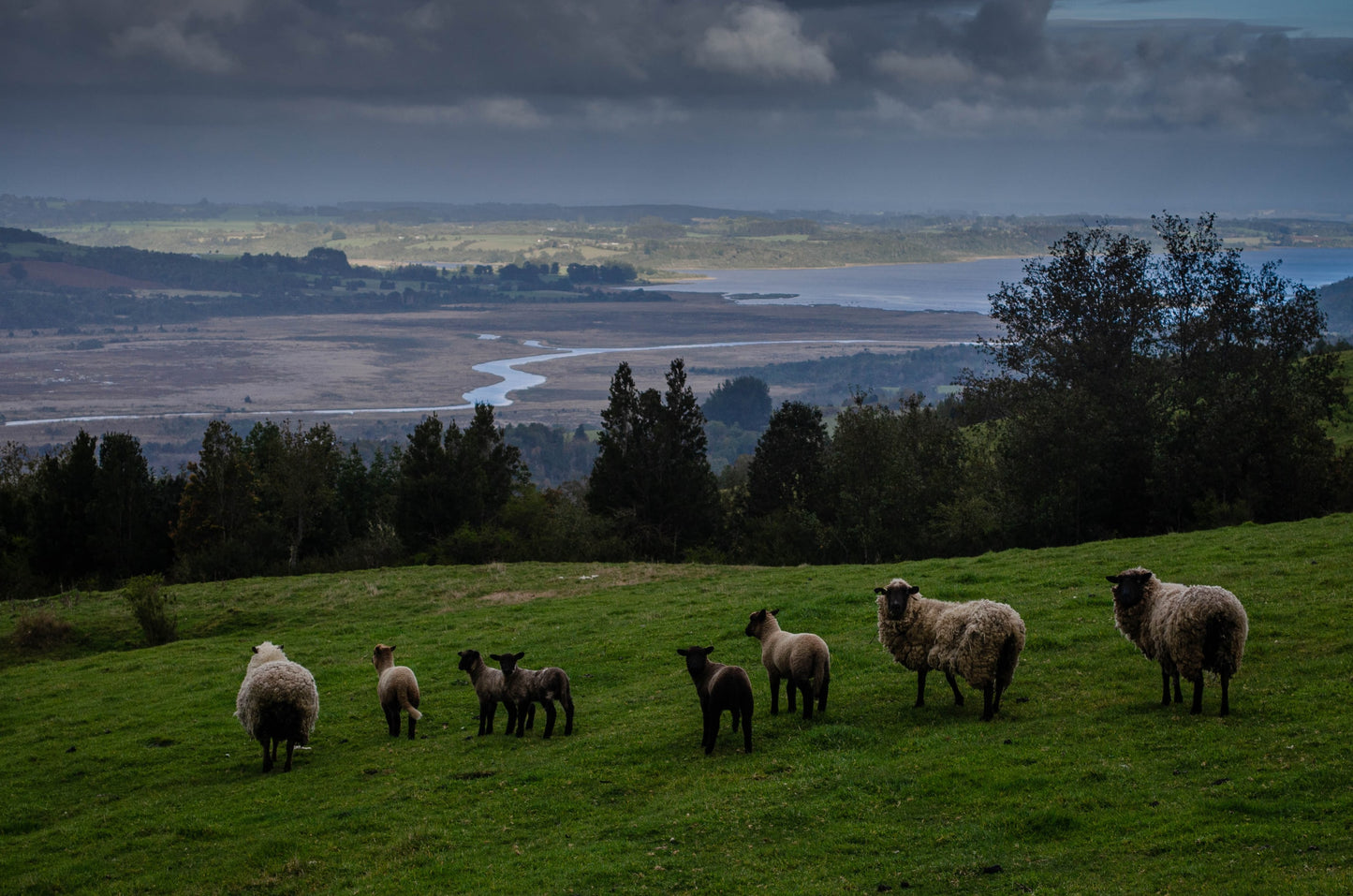 What is regenerative agriculture?