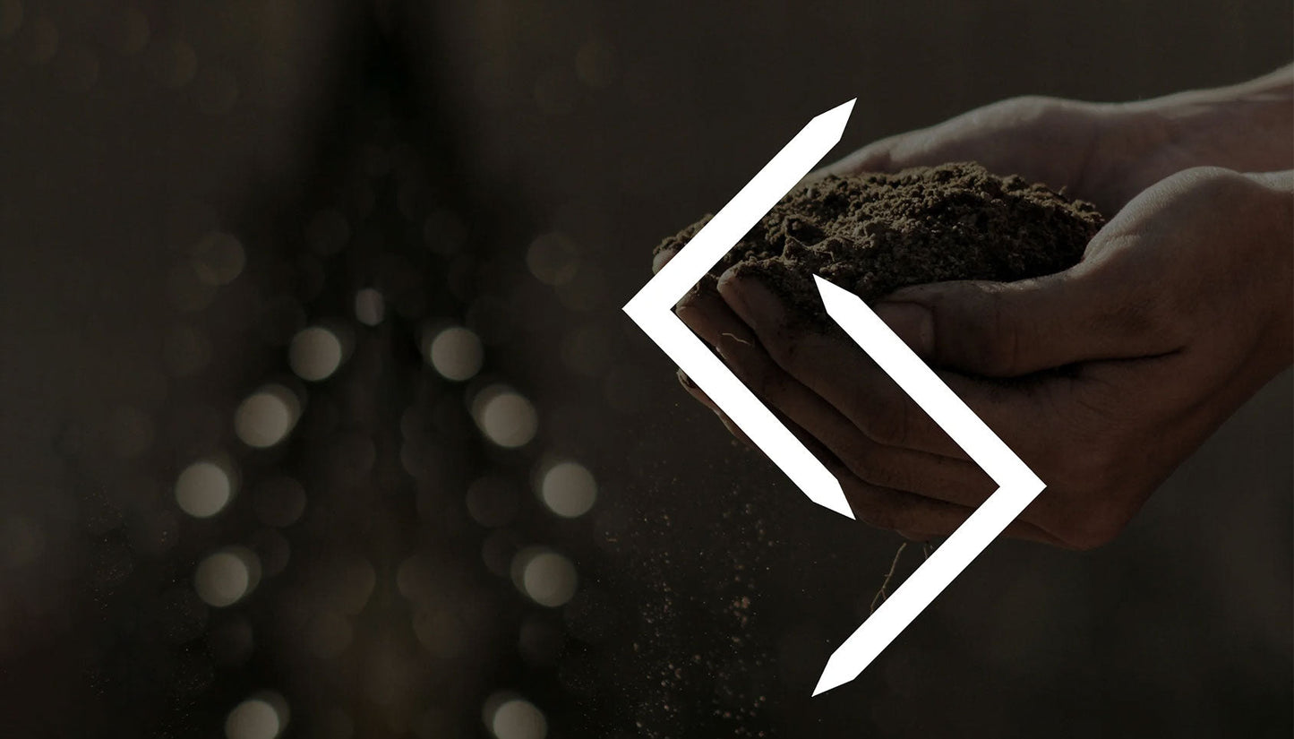 Jera Rune - Regenuary