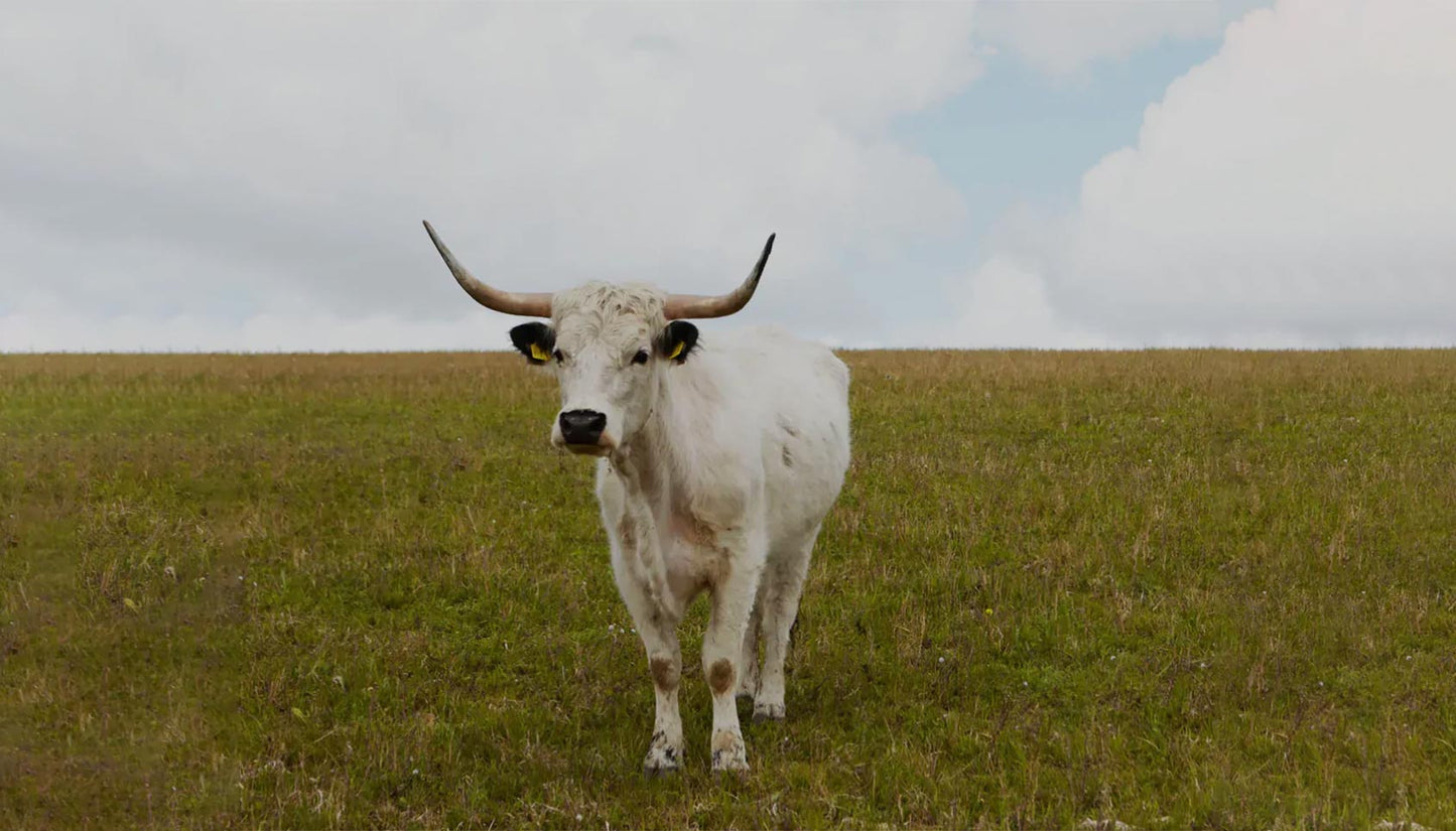 Sustainability & Farming