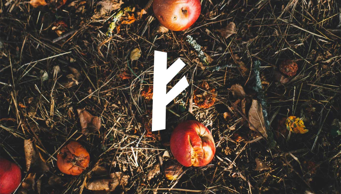 The 5Rs of Zero Waste  - No 5. To Rot