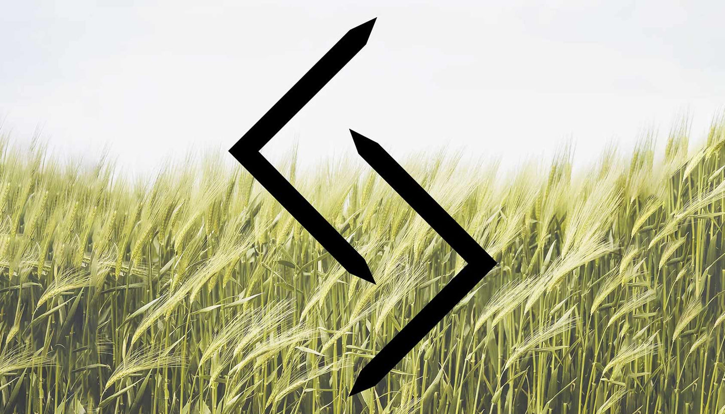 What is Regenuary?