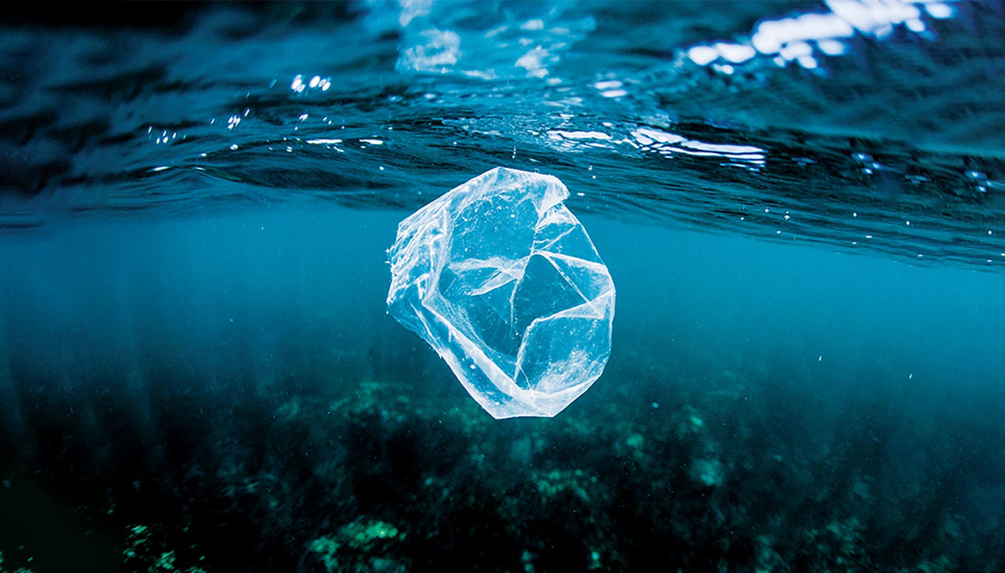 Plastic floating in the sea