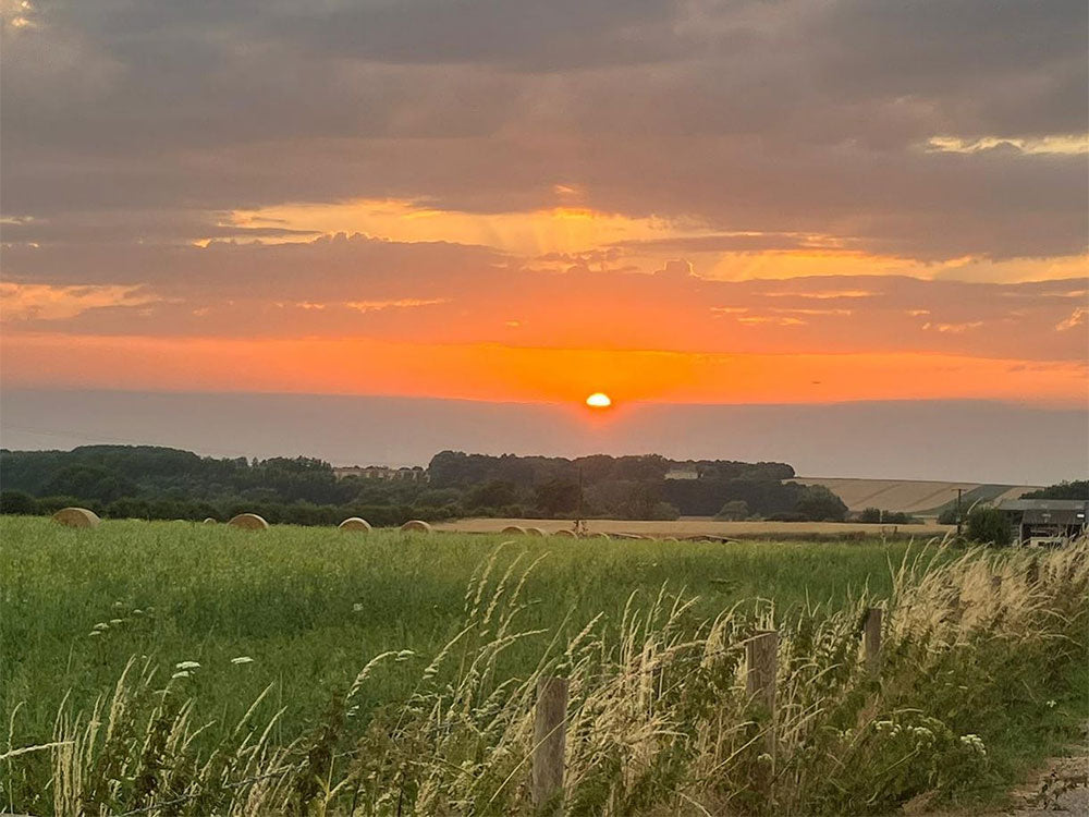 The land at D'oyleys Farm