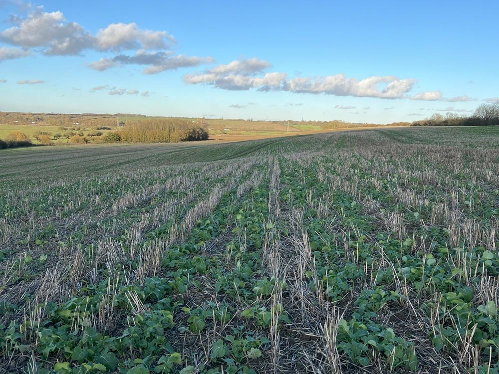 The land at Farrington Oils