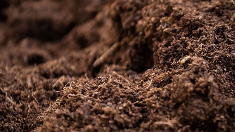 Healthy soil
